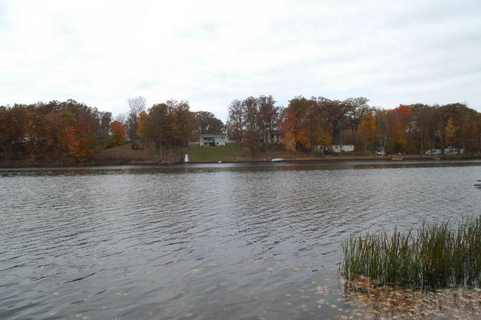Edenville - Childhood Cottage And Land Nearby